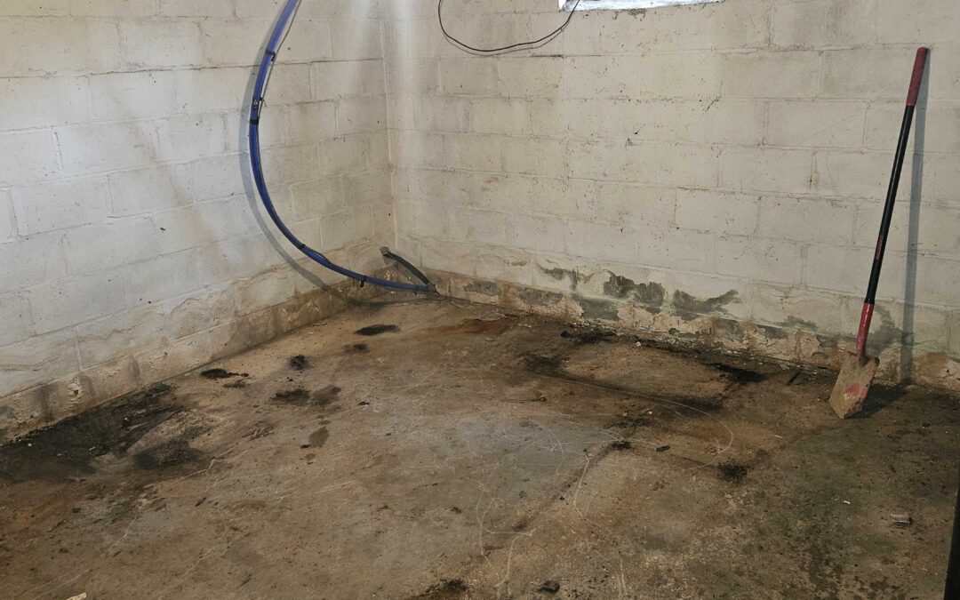 Basement Waterproofing Clarkston for Dry, Safe Homes